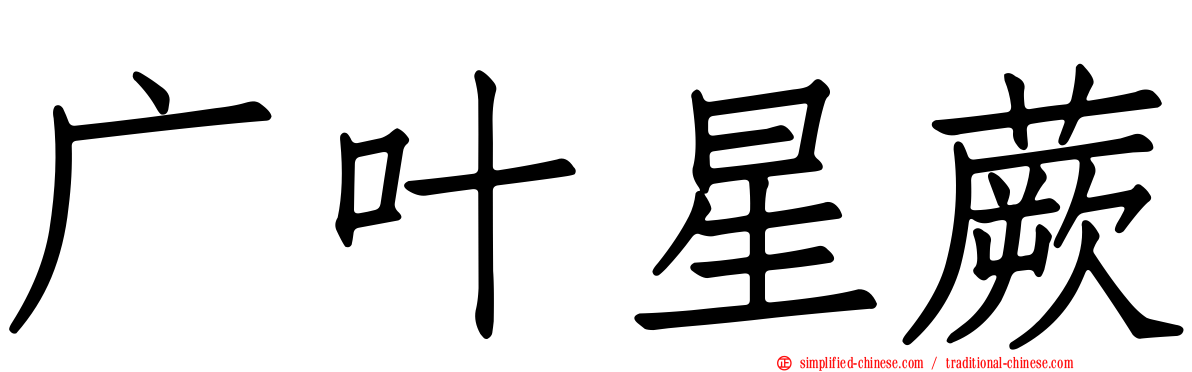 广叶星蕨