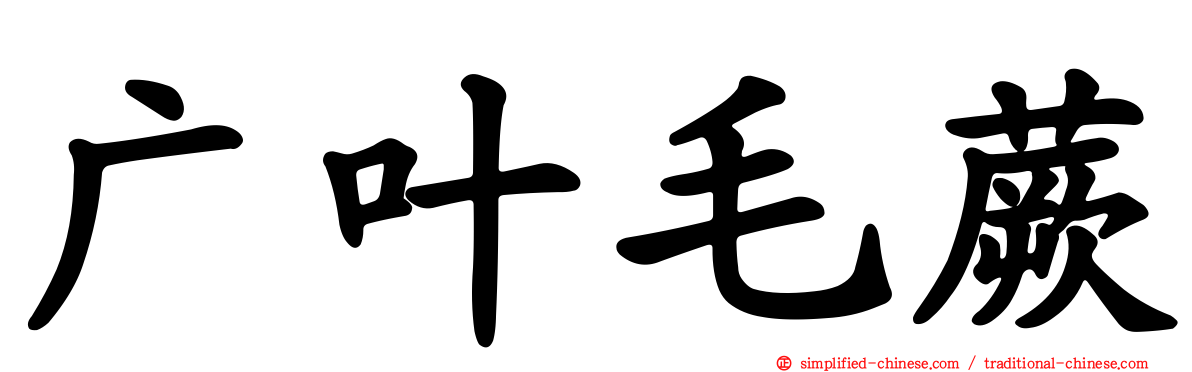 广叶毛蕨