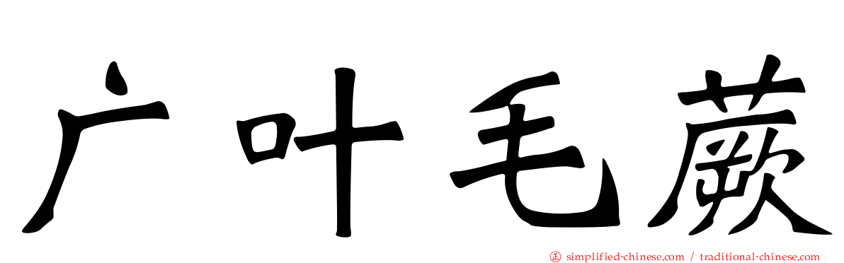 广叶毛蕨