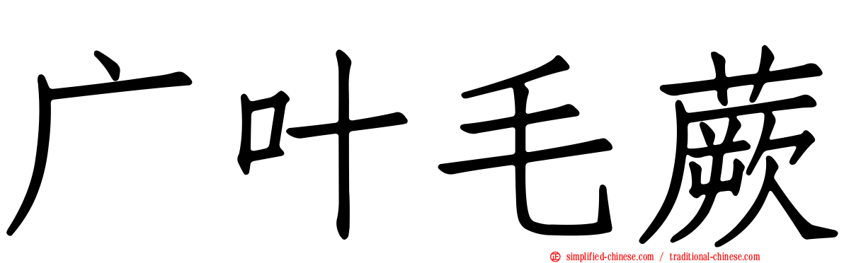 广叶毛蕨