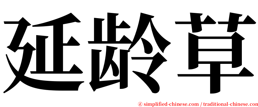 延龄草 serif font