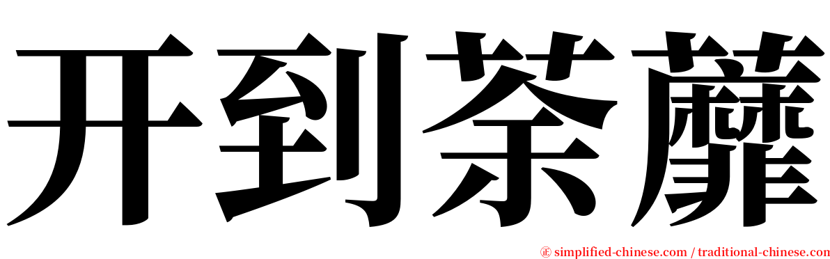 开到荼蘼 serif font