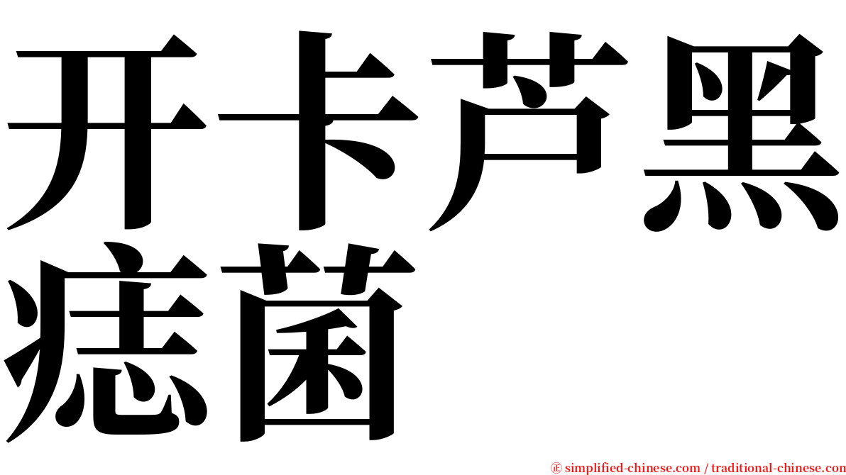 开卡芦黑痣菌 serif font