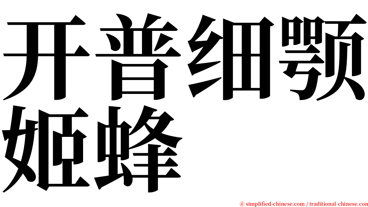 开普细颚姬蜂 serif font