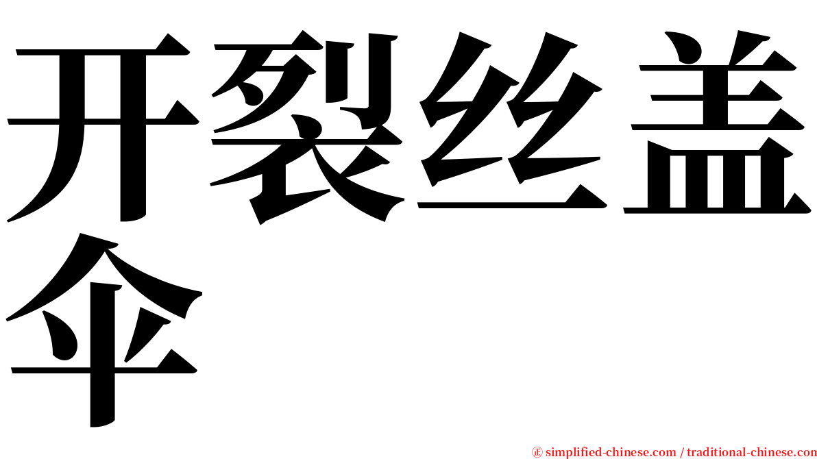 开裂丝盖伞 serif font