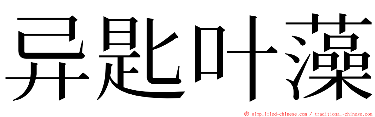 异匙叶藻 ming font