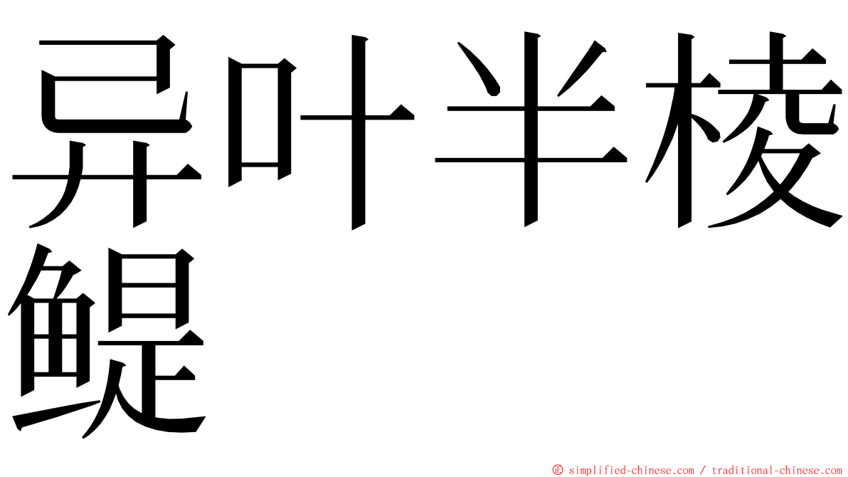 异叶半棱鳀 ming font