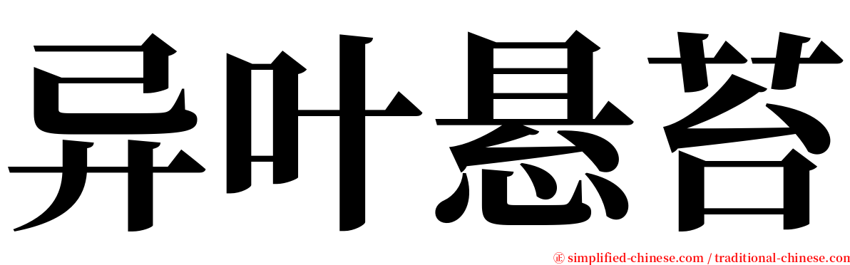 异叶悬苔 serif font