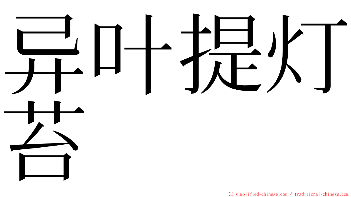 异叶提灯苔 ming font