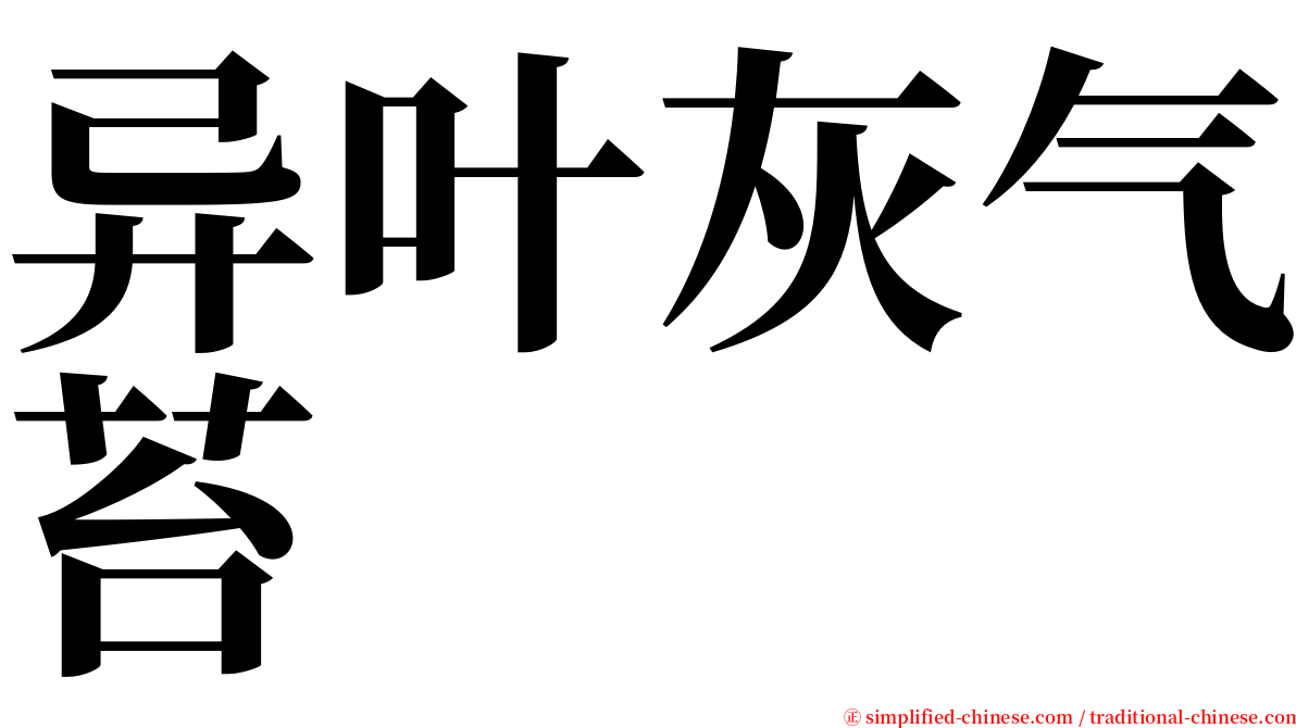 异叶灰气苔 serif font