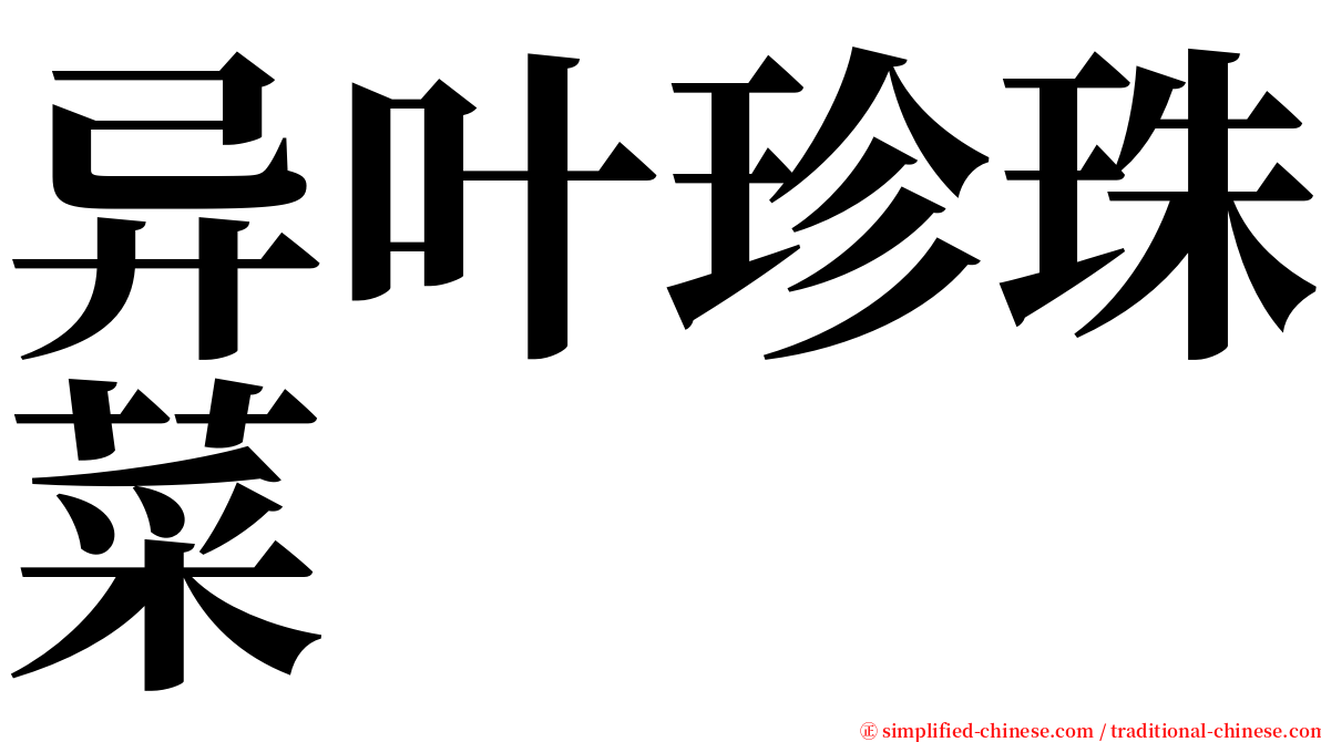 异叶珍珠菜 serif font