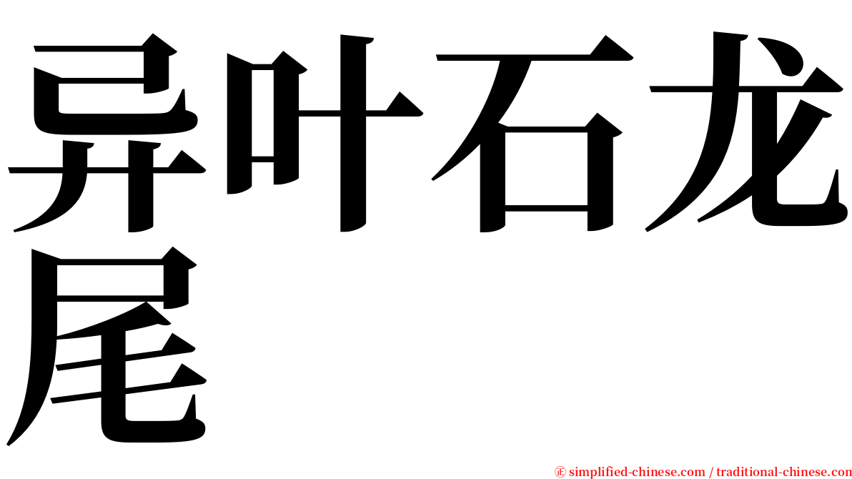 异叶石龙尾 serif font