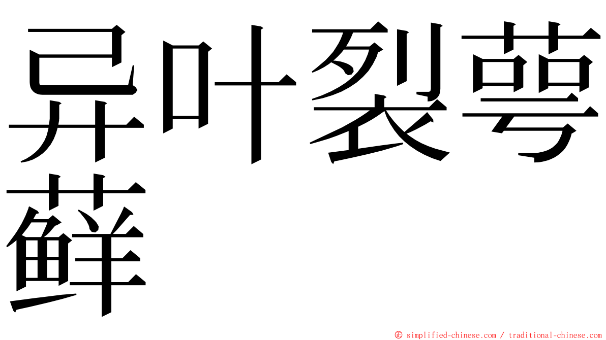 异叶裂萼藓 ming font