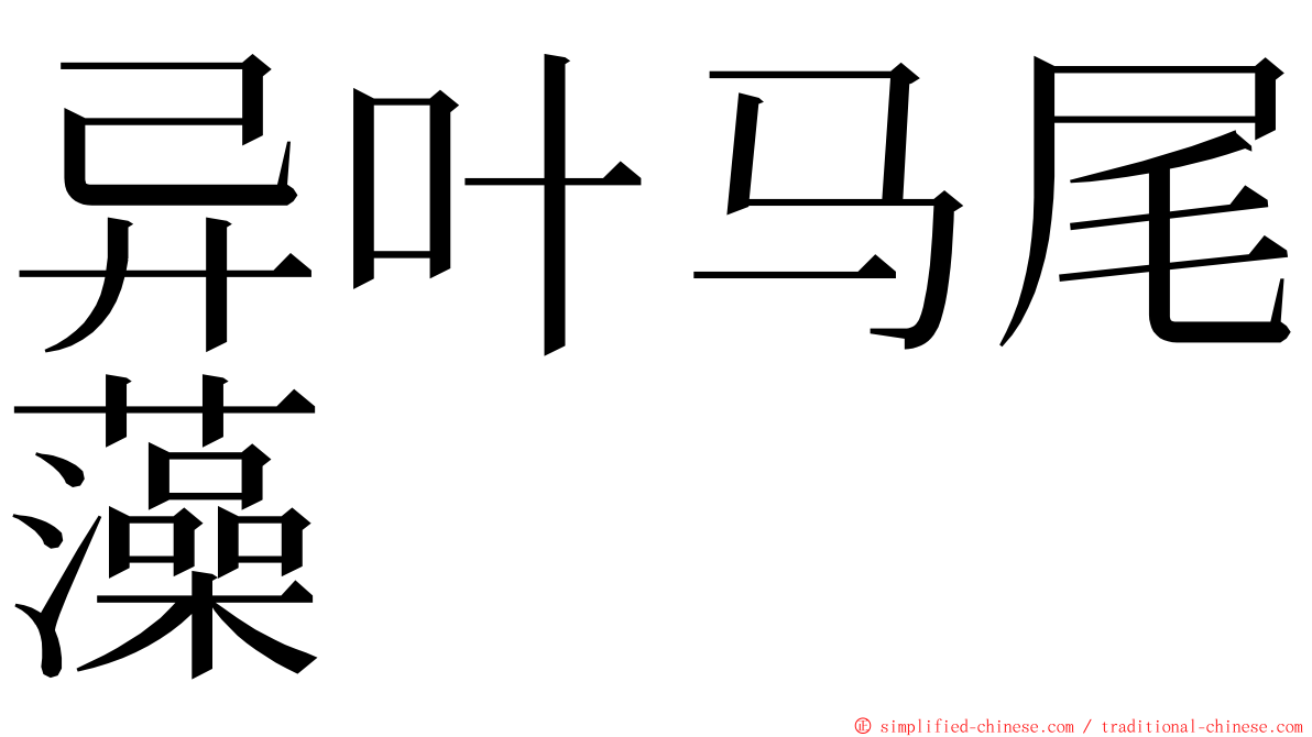 异叶马尾藻 ming font