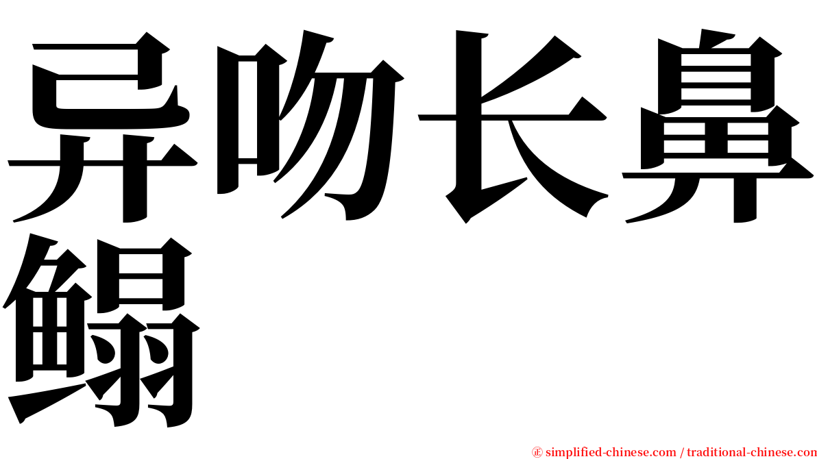 异吻长鼻鳎 serif font