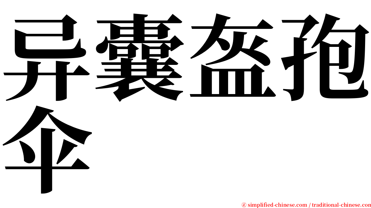 异囊盔孢伞 serif font