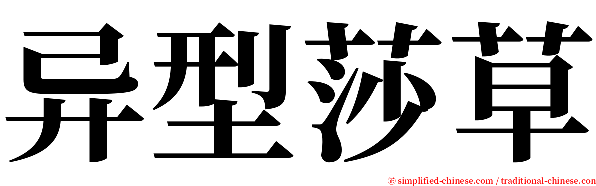 异型莎草 serif font