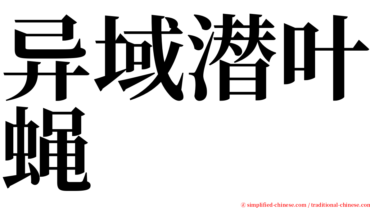 异域潜叶蝇 serif font