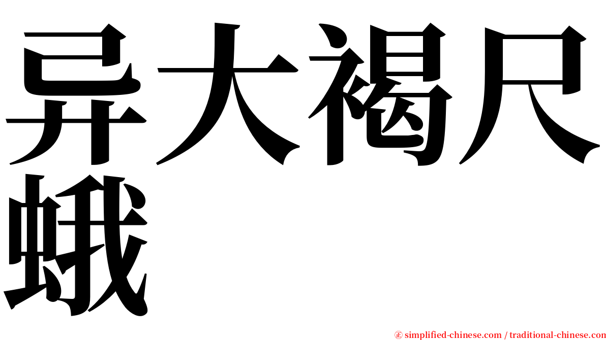 异大褐尺蛾 serif font