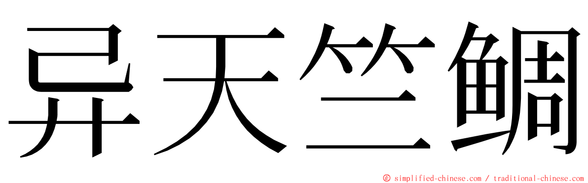 异天竺鲷 ming font