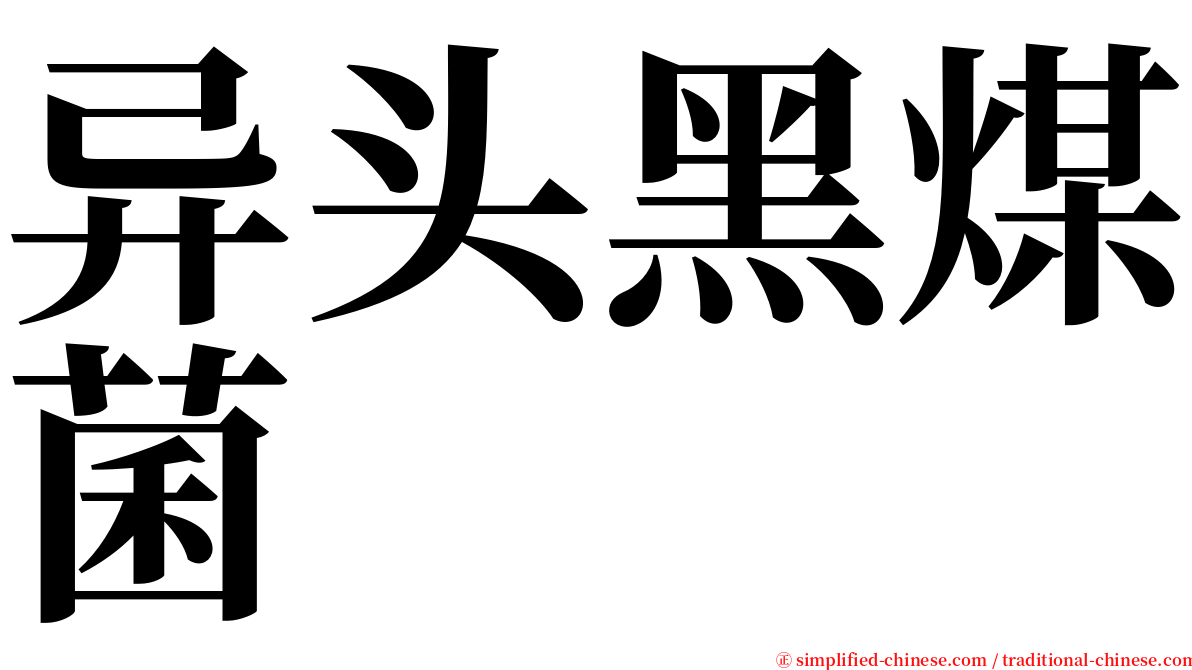 异头黑煤菌 serif font