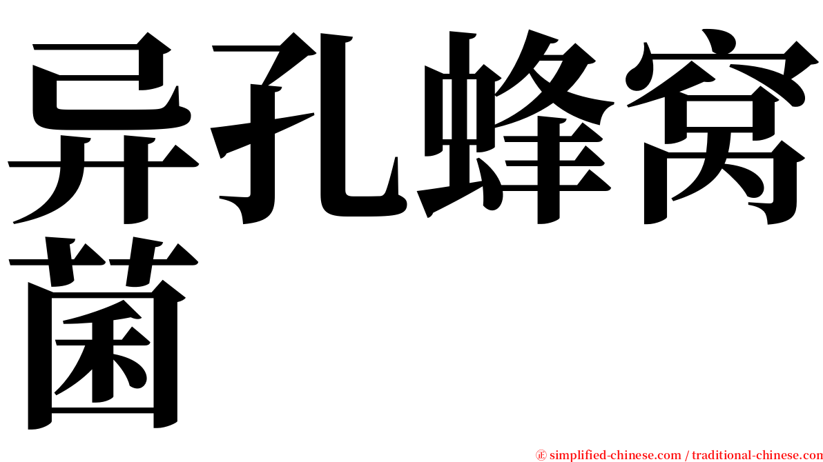 异孔蜂窝菌 serif font