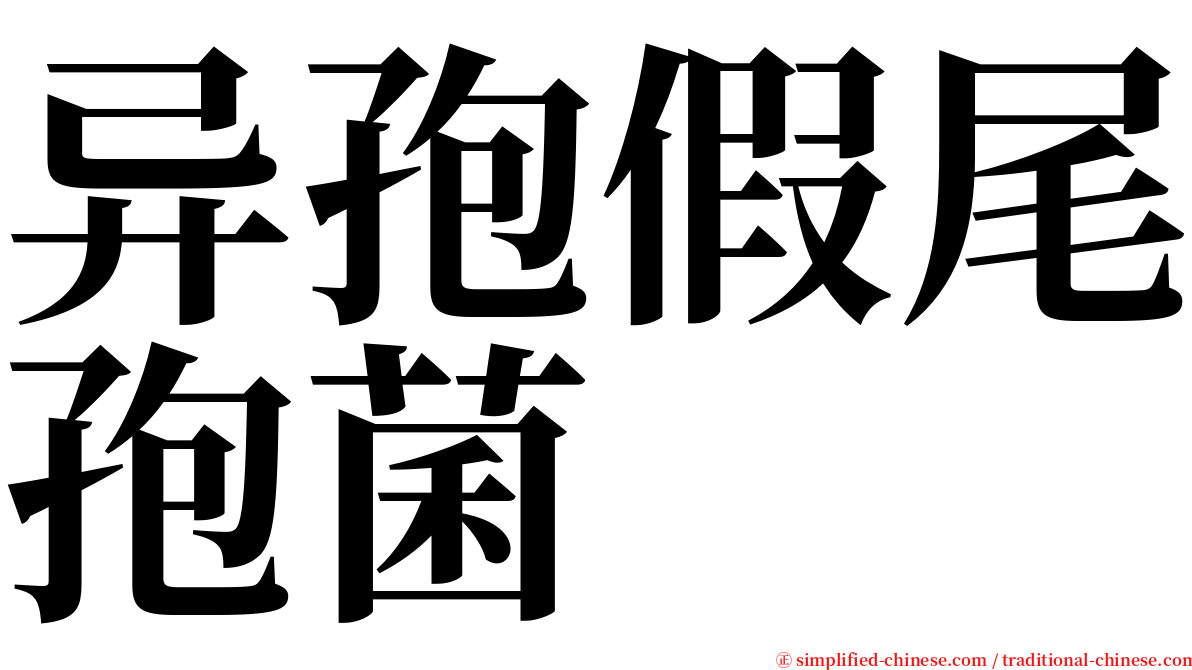 异孢假尾孢菌 serif font