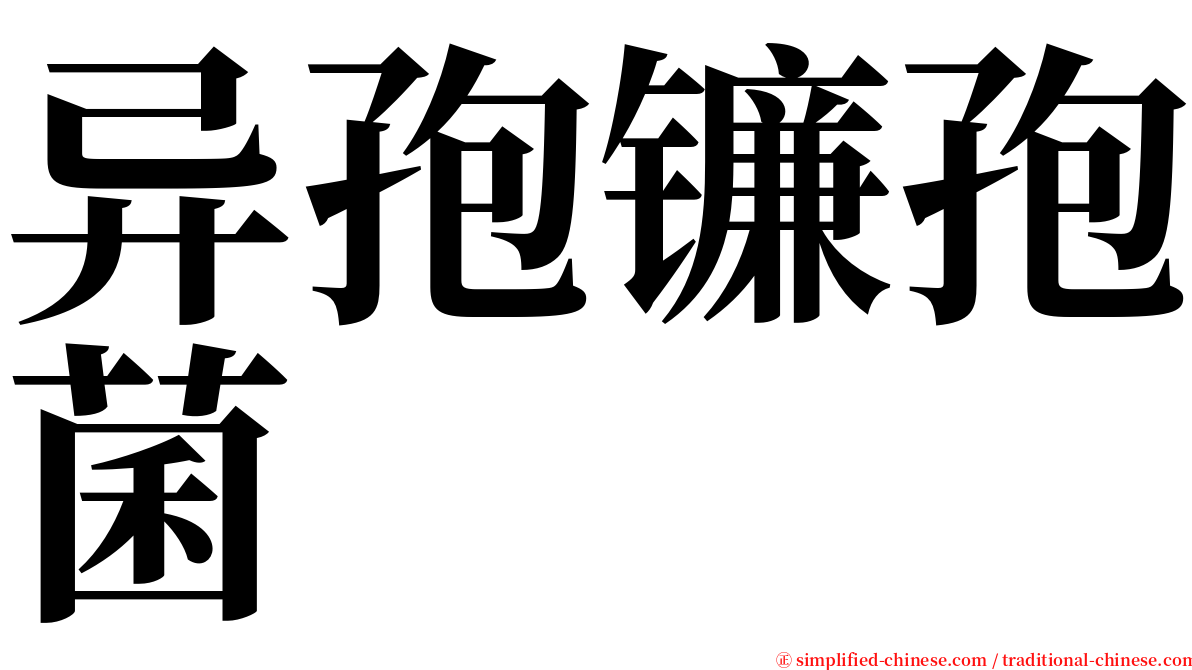 异孢镰孢菌 serif font