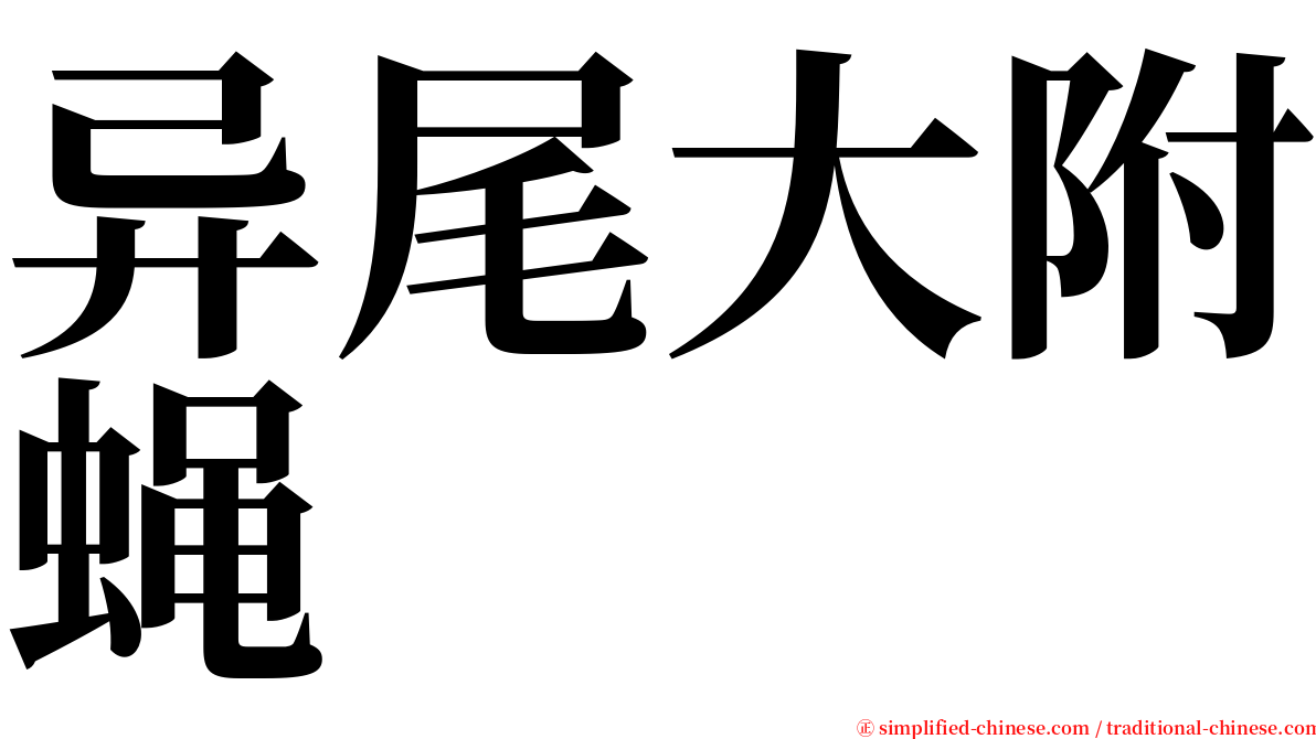 异尾大附蝇 serif font