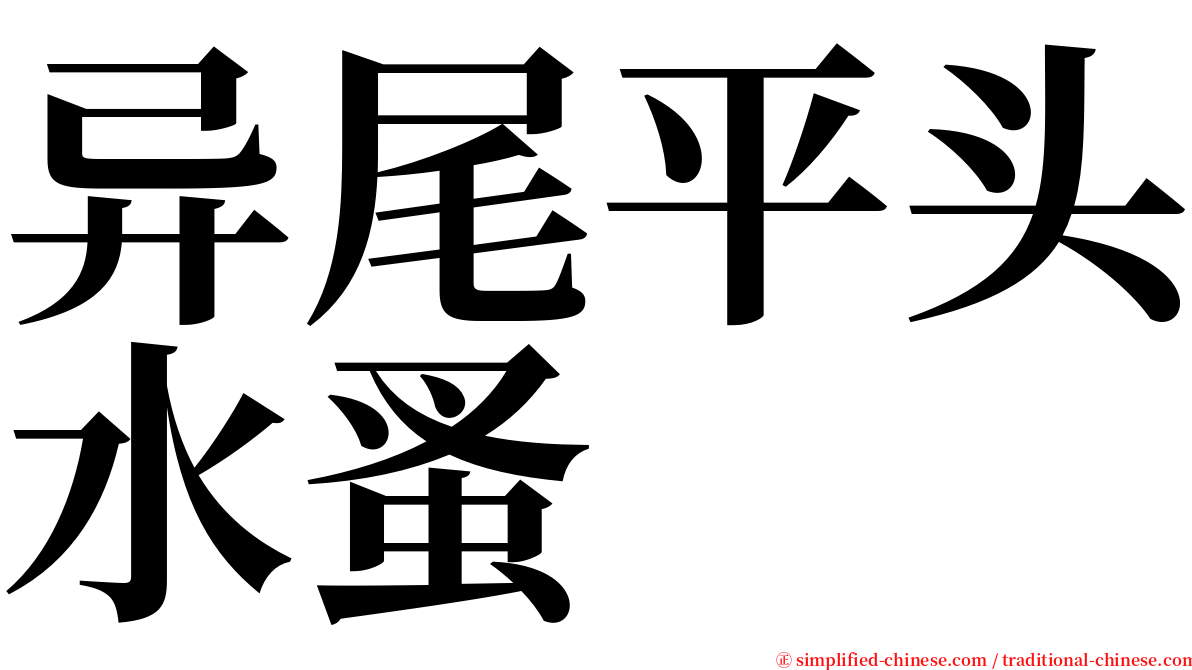 异尾平头水蚤 serif font