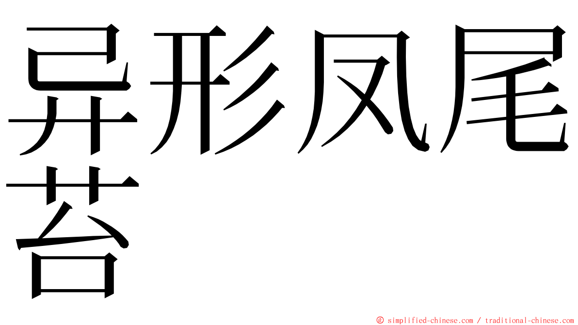 异形凤尾苔 ming font