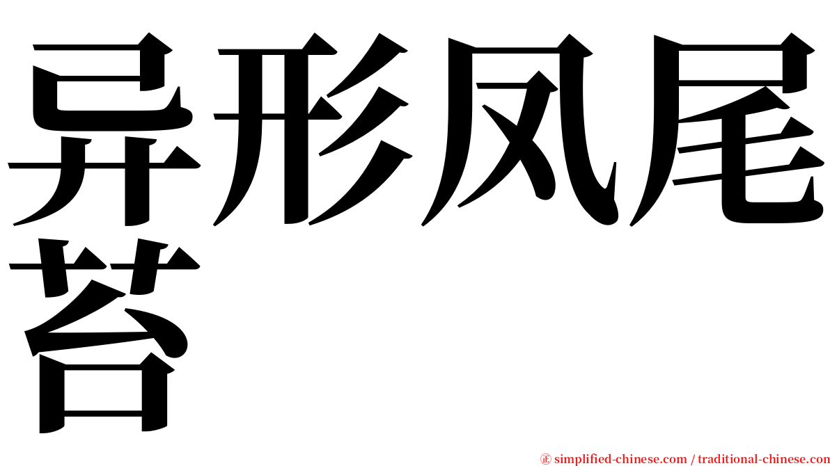 异形凤尾苔 serif font