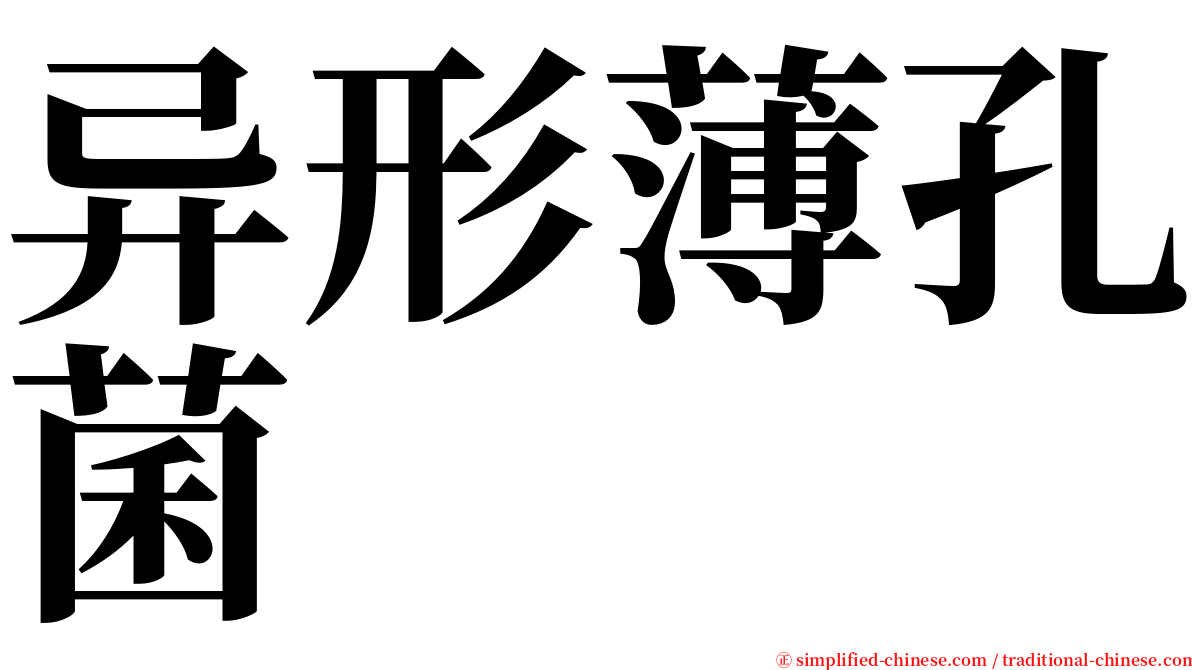 异形薄孔菌 serif font