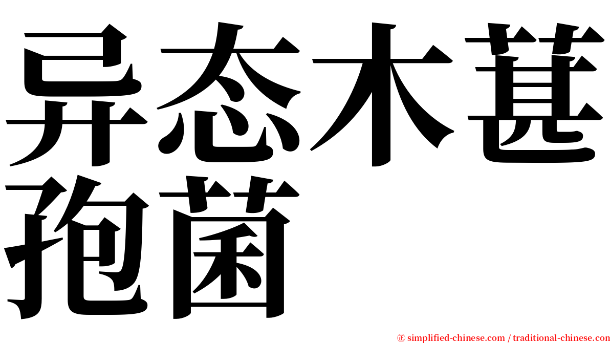 异态木葚孢菌 serif font