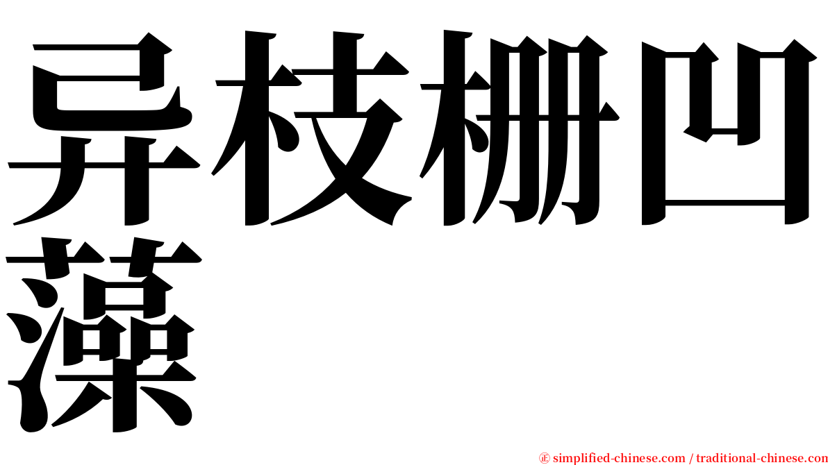 异枝栅凹藻 serif font