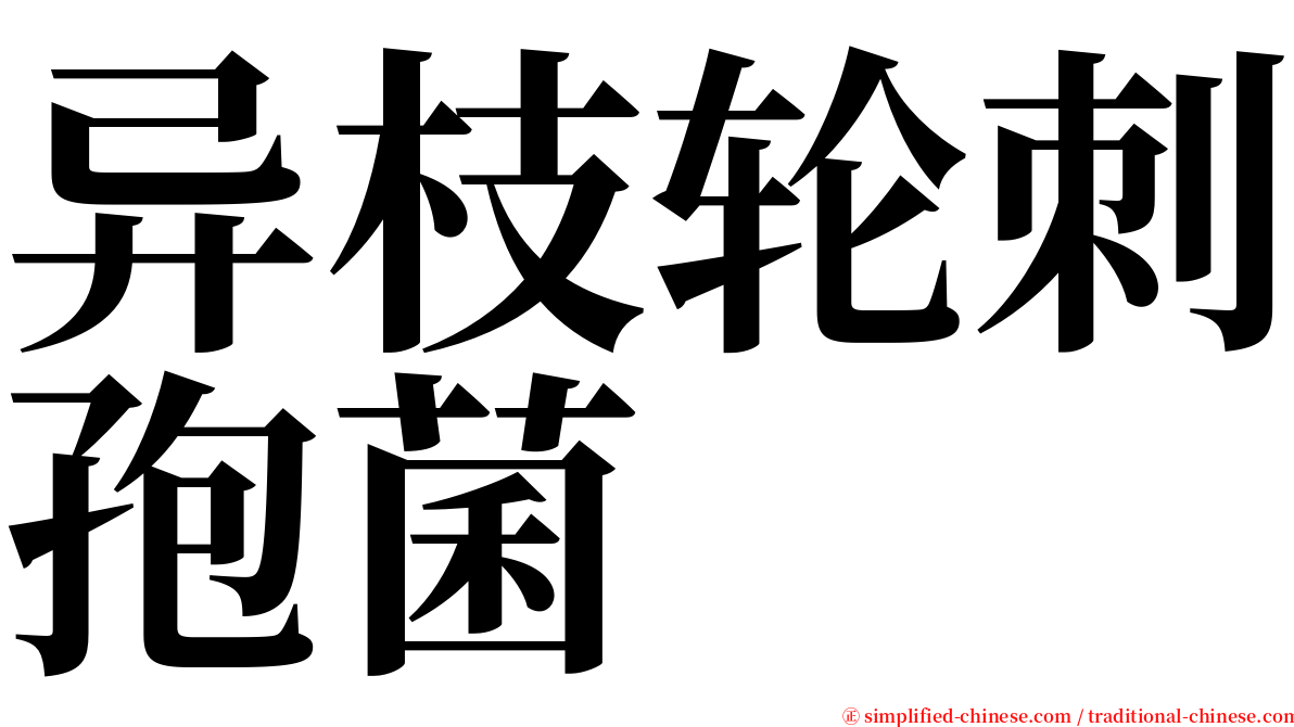 异枝轮刺孢菌 serif font