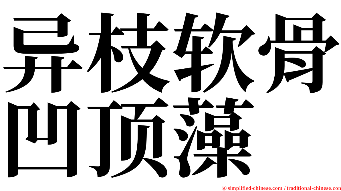 异枝软骨凹顶藻 serif font