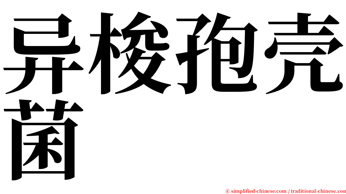 异梭孢壳菌 serif font