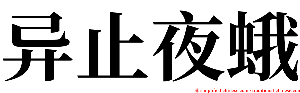 异止夜蛾 serif font