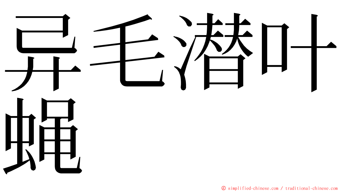 异毛潜叶蝇 ming font