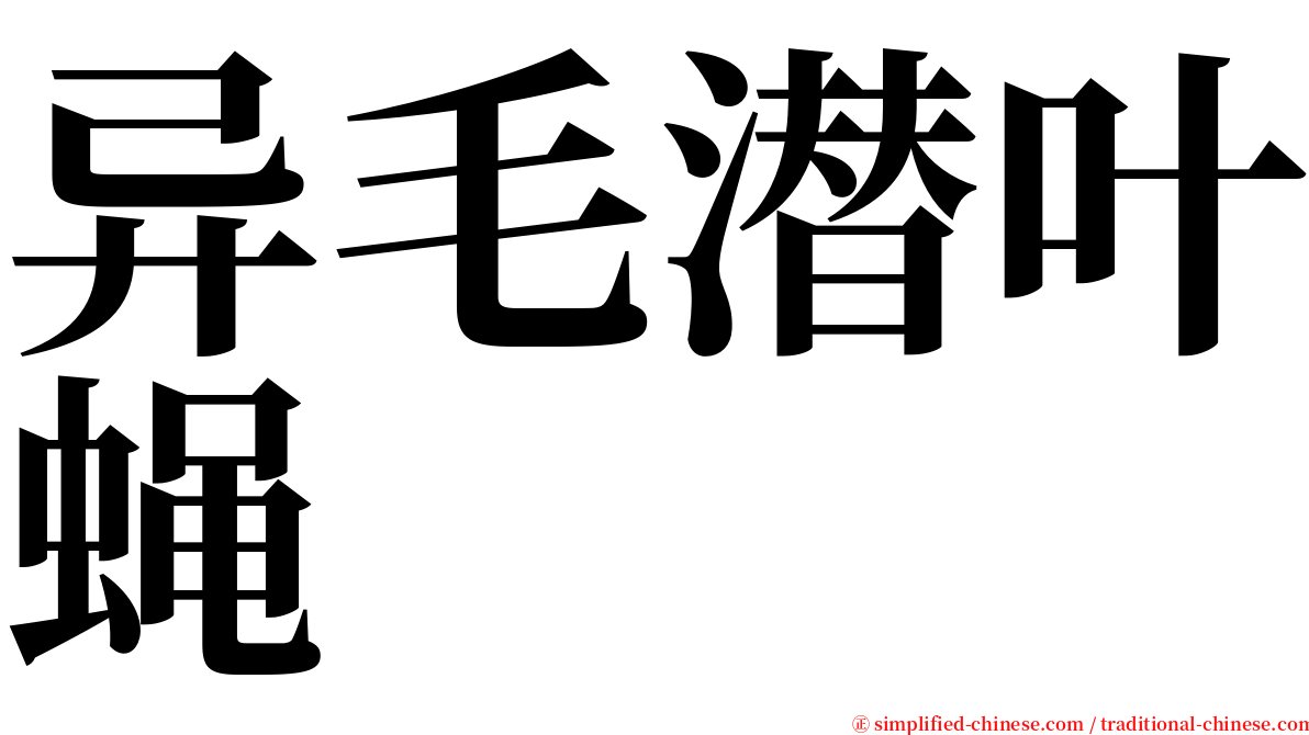 异毛潜叶蝇 serif font