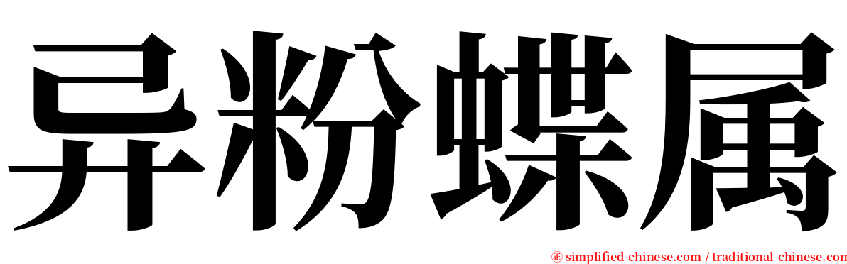 异粉蝶属 serif font