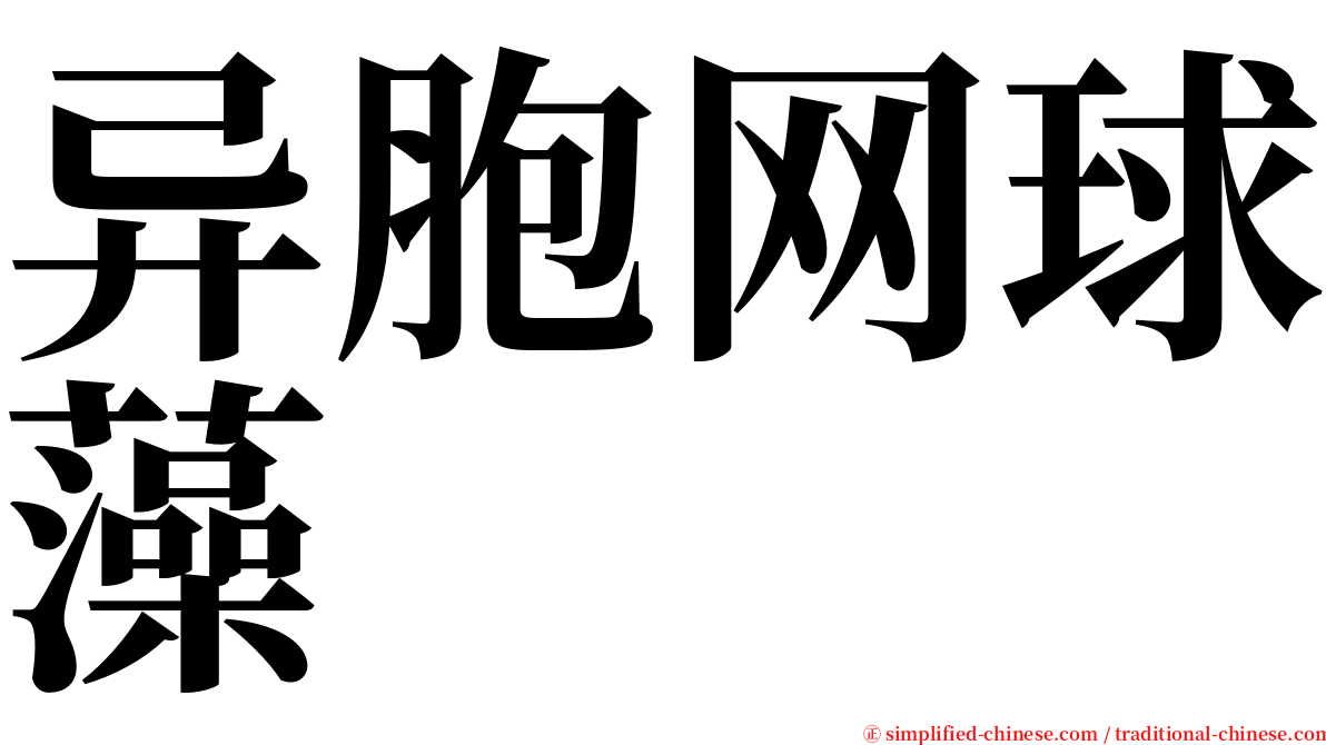 异胞网球藻 serif font