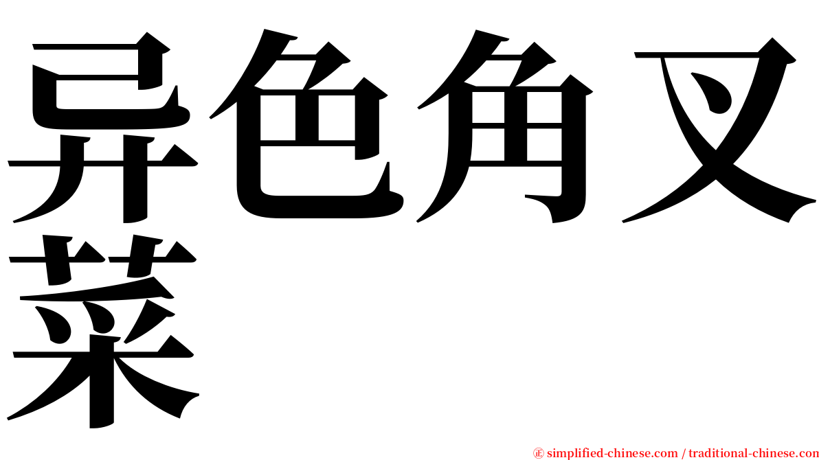 异色角叉菜 serif font