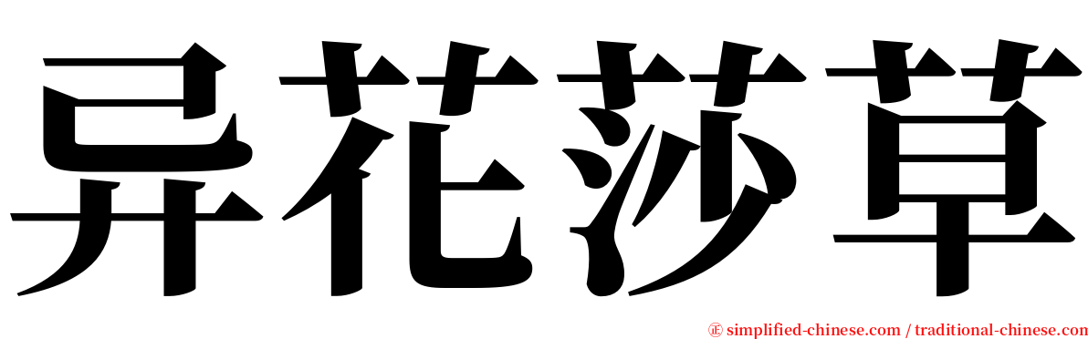异花莎草 serif font