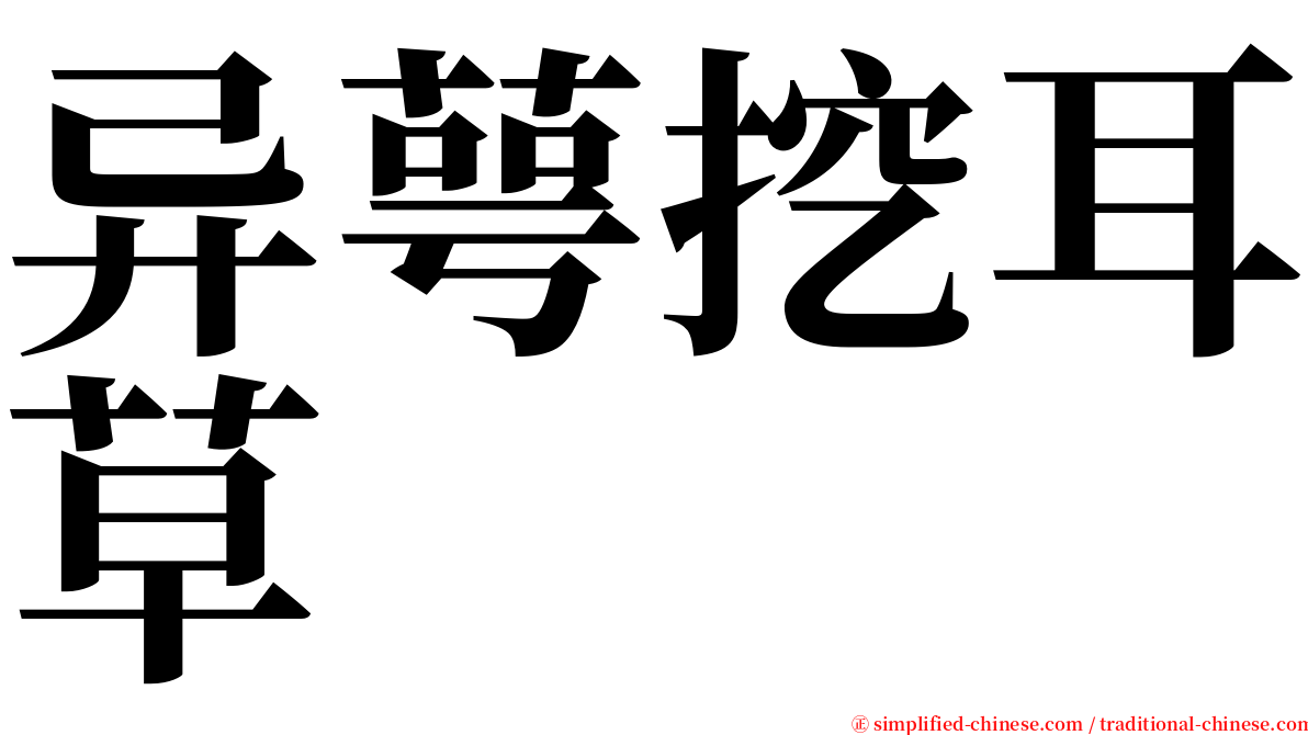 异萼挖耳草 serif font