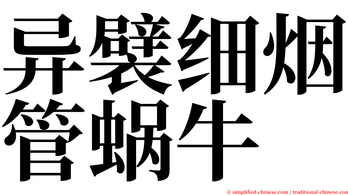 异襞细烟管蜗牛 serif font