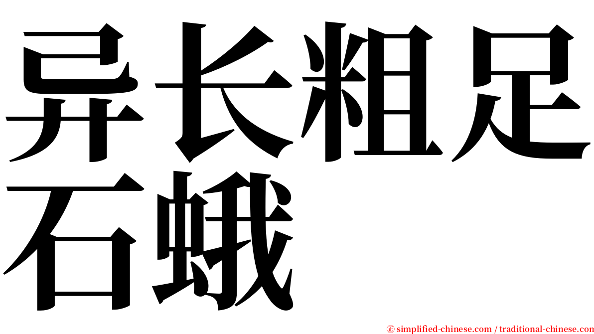 异长粗足石蛾 serif font