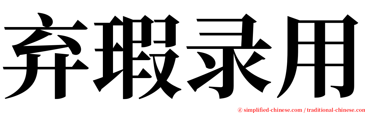 弃瑕录用 serif font