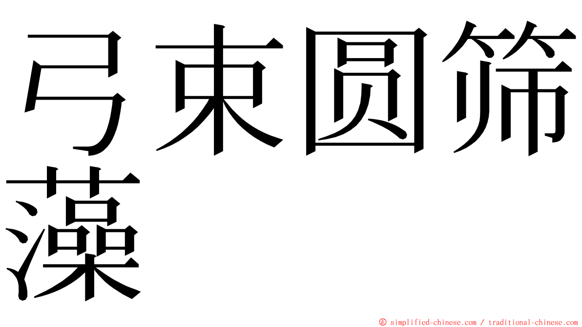 弓束圆筛藻 ming font